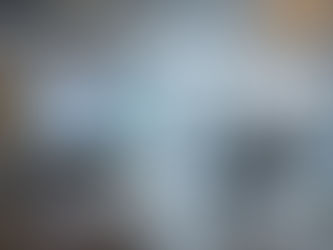 DOSSIER 012 // ASSET PROTECTION: SMART HABITATS 