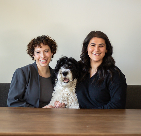 The Therapists