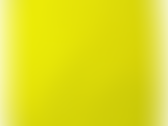 The Mystery and Magic of the Missing Yellow Towel