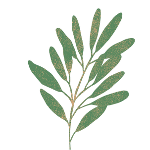 leaf 1.png
