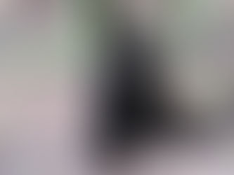 Bảo tồn Vượn đen má trắng (Nomascus leucogenys) ở Khu Bảo tồn Thiên nhiên Pù Hoạt