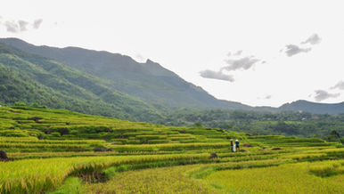 ADVANCING ECOTOURISM FOR PU LUONG NATURE RESERVE AND ITS SUROUNDING COMMUNITIES