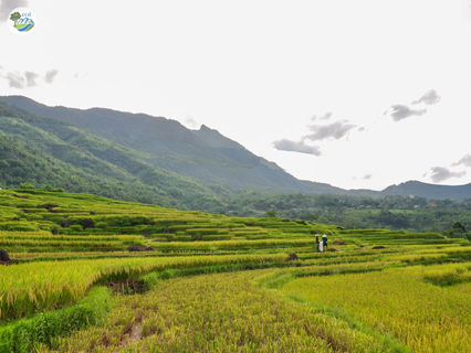ADVANCING ECOTOURISM FOR PU LUONG NATURE RESERVE AND ITS SUROUNDING COMMUNITIES