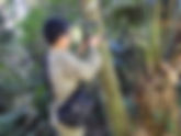 CONSERVATION OF NORTHERN WHITE-CHEEKED GIBBON (NOMASCUS LEUCOGENYS) AT VU QUANG NATIONAL PARK, HA TINH PROVINCE