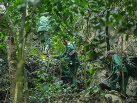 A SPRING PILGRIMAGE IN HARMONY WITH NATURE AT HUONG PAGODA