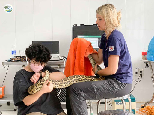 NỖ LỰC BẢO ĐẢM AN TOÀN SINH HỌC VÀ THÚC ĐẨY TÁI HOANG DÃ TẠI VƯỜN QUỐC GIA PHONG NHA – KẺ BÀNG