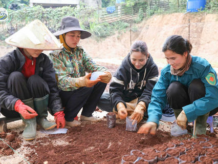 bảo tồn trắc và cẩm lai tại quảng trị và đồng nai
