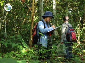 UPDATING THE DONG NAI FLORA CHECKLIST: SAFEGUARDING FORESTS, BIODIVERSITY VALUES, AND WATER SECURITY