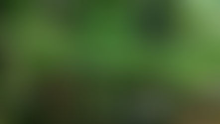 THE PROPOSED PLAN FOR MANAGEMENT AND CONSERVATION OF THE VUNERABLE <i>DALBERGIA COCHINCHINENSIS</i> AND ENGANGERED <i>DALBERGIA OLIVERI</i> IN VIETNAM