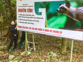 DU XUÂN HÀI HÒA VỚI THIÊN NHIÊN TẠI CHÙA HƯƠNG