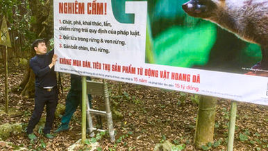 DU XUÂN HÀI HÒA VỚI THIÊN NHIÊN TẠI CHÙA HƯƠNG 
