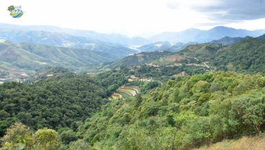 Dien Bien – An ultimate tourism destination in Vietnam’s North-West