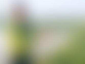 BẢO VỆ CHIM HOANG DÃ Ở HƯƠNG SƠN - MỸ ĐỨC, HÀ NỘI