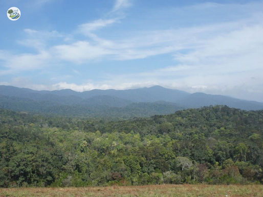 CHUẨN HÓA QUẢN LÝ DỮ LIỆU VÀ BÁO CÁO TẠI KHU BẢO TỒN THIÊN NHIÊN NAM NUNG