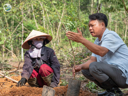 THE JOURNEY OF RESTORING DALBERGIA OLIVERI IN DONG NAI CULTURAL AND NATURAL RESERVE