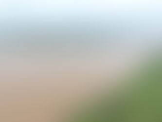 THE RED RIVER’S ALLUVIAL PLAINS AND ISLETS ARE SHELTER TO WILD BIRDS IN HANOI ￼