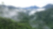CONSERVATION OF NORTHERN WHITE-CHEEKED GIBBON AND MUNTJACS IN XUAN LIEN NATIONAL PARK, THANH HOA PROVINCE