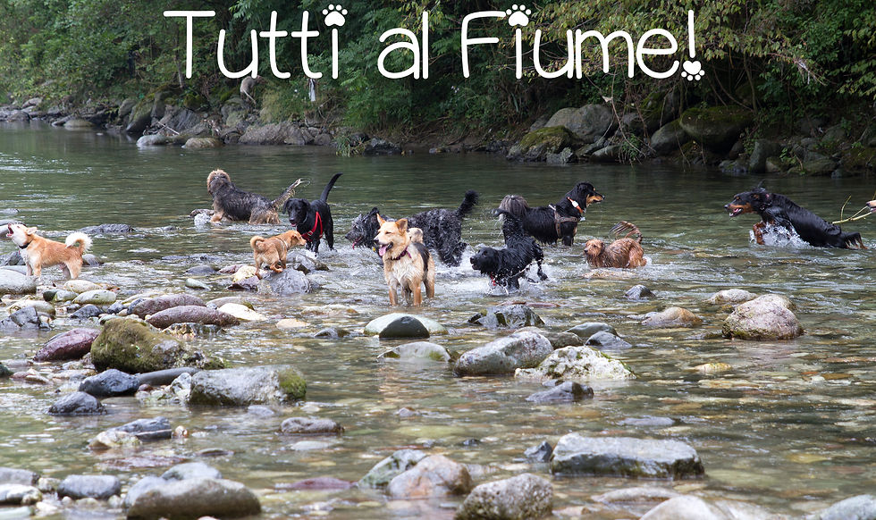 fiume