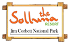 Solluna copy