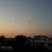 View album