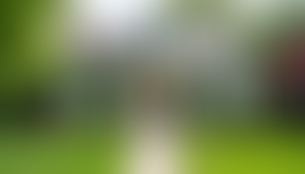 Revitalize Your Property: The Health and Financial Benefits of Professional Exterior Cleaning Solutions