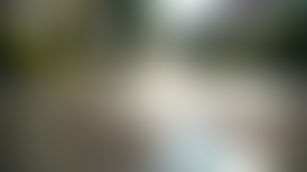 Why Houston Homes Benefit from Pressure Washing