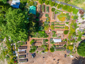 What Is Regenerative Agriculture?