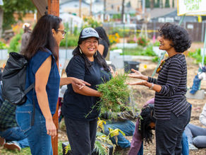 LEAF News November 2025