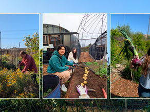 LEAF News January 2025