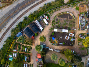 LEAF News March 2026