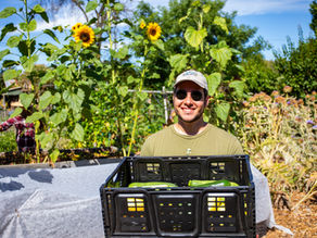 Community Garden Operations & Education Intern