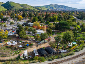 LEAF News Jan & Feb 2026