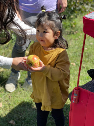 photograph of a young girl at an orchard holding an apple