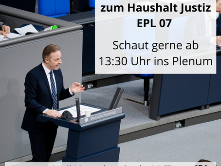 Rede im Plenum