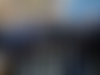 Vorsitz Deutsche Vereinigung für Parlamentsfragen