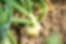 RM_08244.jpg