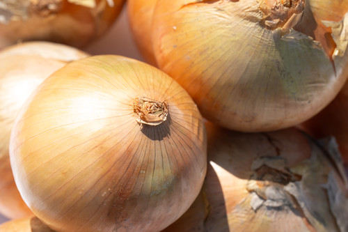 SN-3A | 宮尾農場