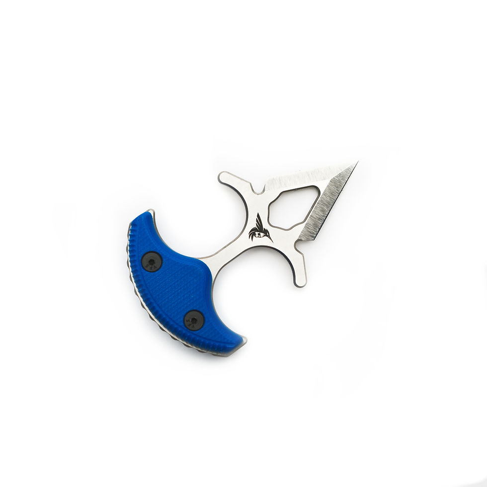 Thumbnail: Hummingbird
