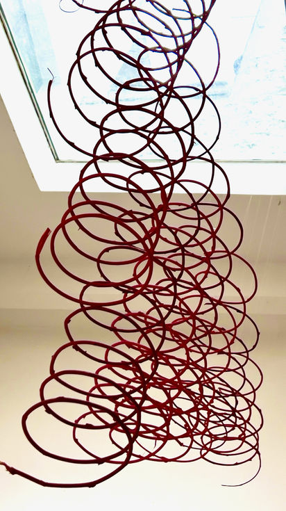 12 tiges de glycines enduites de pastel à huile, fil de pêche - 2