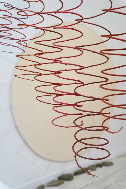 12 tiges de glycines enduites de pastel à huile, fil de pêche - 1