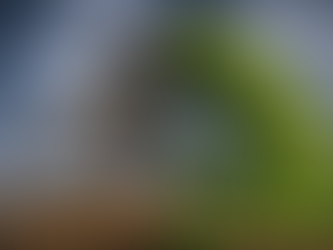 Flexibilidade no RH e DP, quem não se curva às mudanças, acaba quebrando.