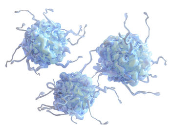 Activated platelets, illustration