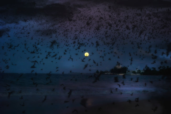 Luna llena de mayo