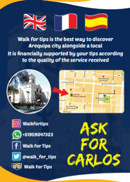 nuevo de walkfortips reverso.png