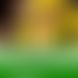 Sathurtthi Fast – 20 MAY