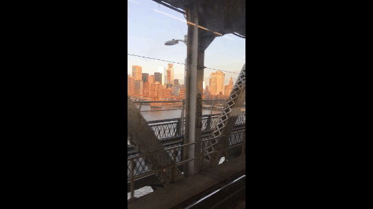 bridge gif.gif