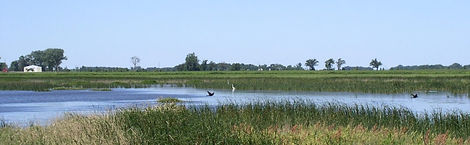 cropped-CREP-1.jpg