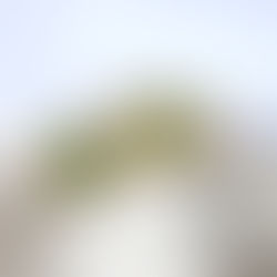 Spotlight on peridot, birthstone for August!