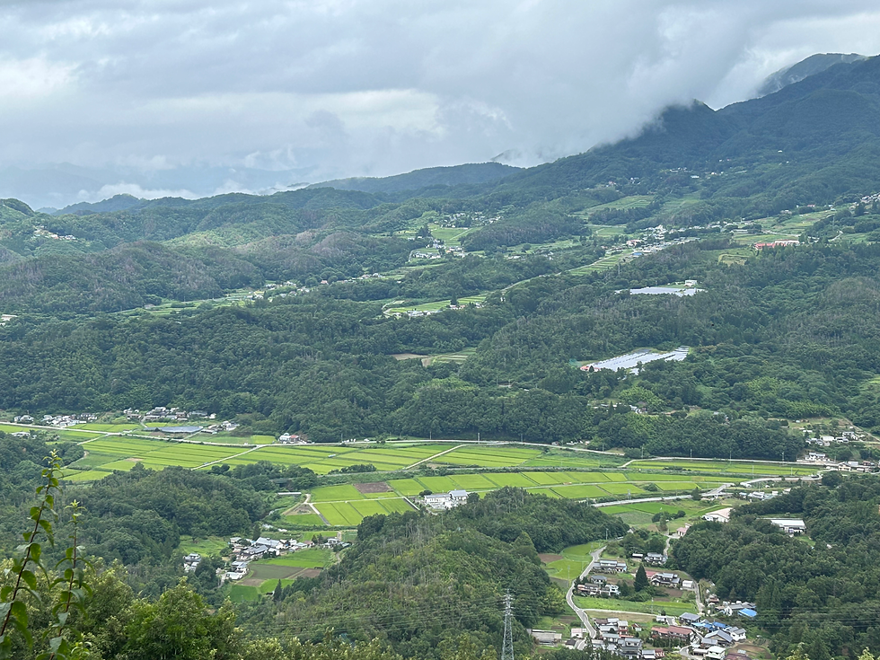主郭から筑北盆地を見下ろす