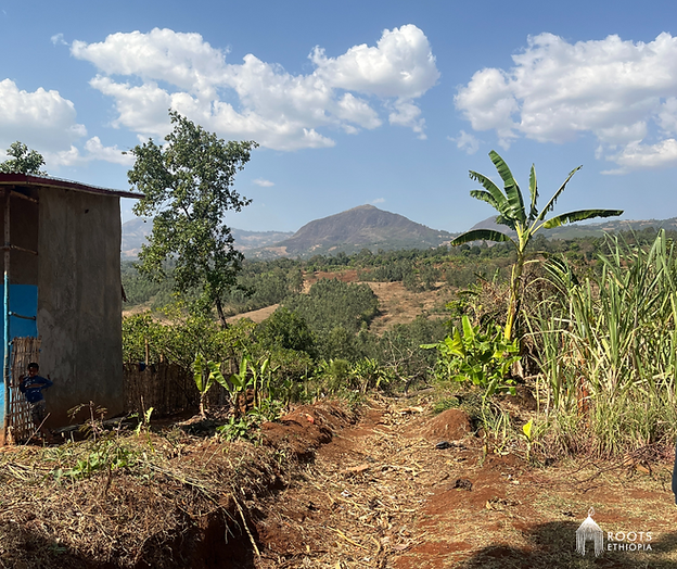 Kembata Landscape.png